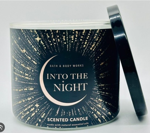 Into the night 3wick candle